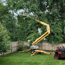 Best Sod Installation  in Lockport Heights, LA